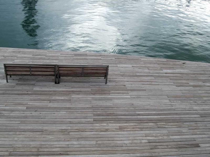 分歧者崛起<br>ujcbtdu.cn 博学派抉择